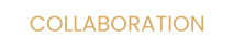 COLLABORATION